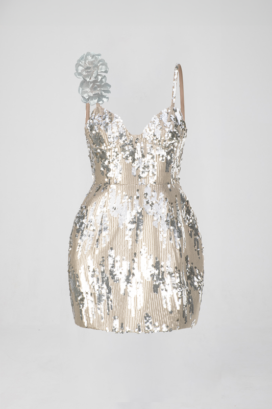 Vera Mini Dress
